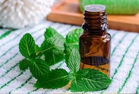 জেলসিমিয়াম (Gelsemium): উদ্বেগ, শারীরিক দুর্বলতা এবং ভাইরাসজনিত সমস্যা প্রতিরোধের ঔষধ